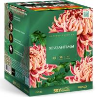 Хризантемы Фейерверк купить #REGION_NAME_DECLINE_PP# | #REGION_TAG_VSTAVKA_TAYT#