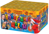 Новогодние цветы Фейерверк купить в Пензе | penza.salutsklad.ru