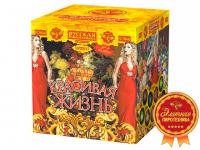 Красивая жизнь Фейерверк купить в Пензе | penza.salutsklad.ru