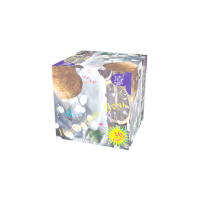 Новогодняя ночь Салют купить в Пензе | penza.salutsklad.ru