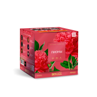 Пионы Салют купить в Пензе | penza.salutsklad.ru