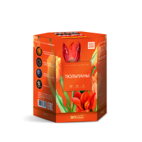 Тюльпаны Салют купить в Пензе | penza.salutsklad.ru
