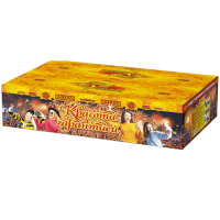 Красота с гарантией Фейерверк купить в Пензе | penza.salutsklad.ru