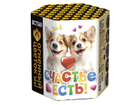 Счастье есть! Салют купить в Пензе | penza.salutsklad.ru