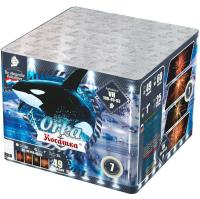 Косатка Фейерверк купить в Пензе | penza.salutsklad.ru