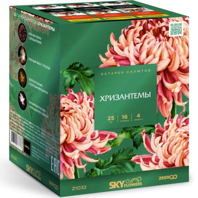 Хризантемы Фейерверк купить в Пензе | penza.salutsklad.ru