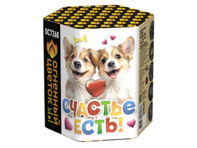 Счастье есть! Салют купить в Пензе | penza.salutsklad.ru